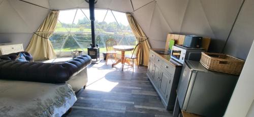 New Holland Other | alpaca view Dome