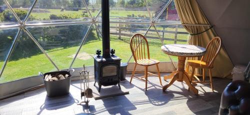 New Holland Other | alpaca view Dome