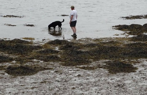 Tarbert Cottage | Anchor Cottage 2Bedroom, Sleeps 4-6, nr Tarbert, Kintyre, Strathclyde, Scotland