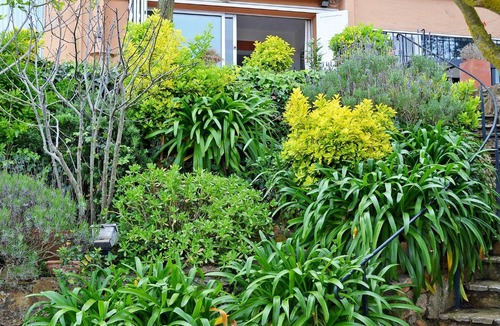 Begur Apartment | Apartment Son Pujol