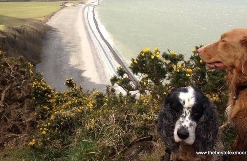 Porlock Cottage | Archways, Porlock - Exmoor holiday cottage
