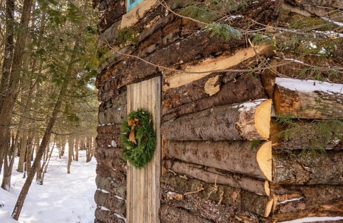 Markdale Cabin | Ash, the tiny cabin in the woods