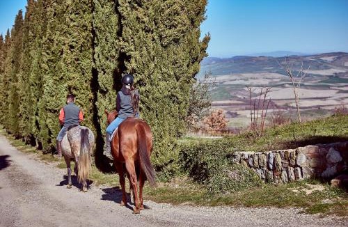 Castiglione d'Orcia House | Az.Agr. Il Cavalleggero