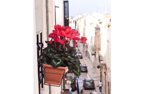 Toritto Bed & Breakfast | B & B Maria Chiara "Giglio"