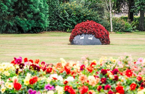Forres Apartment | Beautiful apartment for 4 people with WIFI, TV and patio