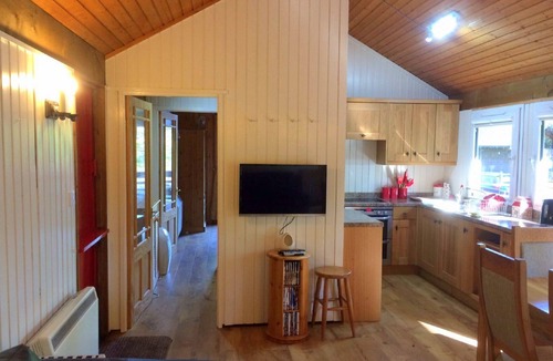 Taynuilt Cabin | Berneray is a charming cabin in a beautiful setting, deep in the forest.