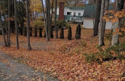 Selwyn House | Buckhorn Lake Waterfront Cottage |Wood burning lakeside Sauna, campfire - MAJOR INTERNATIONAL SPORTING EVENT