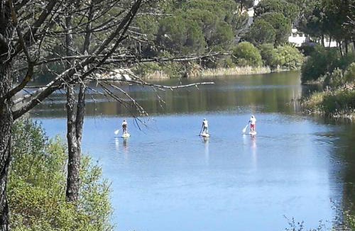 Las Jaras Ski Chalet | CABAÑA DE MADERA JUNTO AL LAGO LAS JARAS