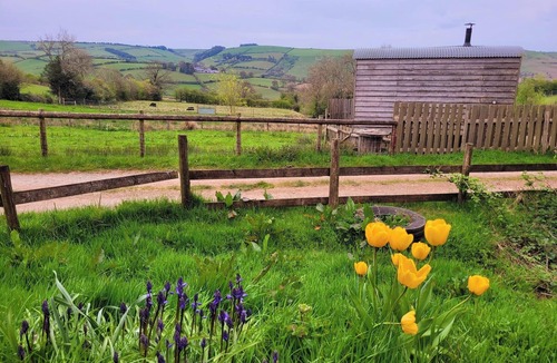 Newcastle-on-Clun Cabin | Cabin Retreat With Beavers on Shropshire Hills