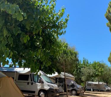 Calella Other | Camping Roca Grossa