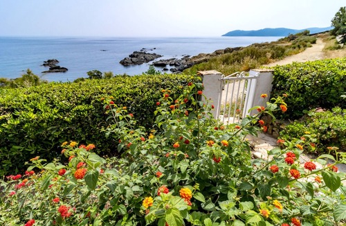 Llanca Apartment | Carboneras 48 - Apartment on the seafront