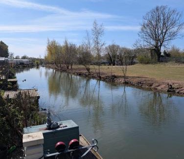 Crowle Other | Carnaby Rosedale