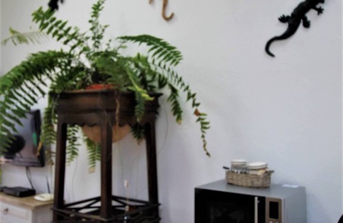 Macher Apartment | Casa de vacaciones El Lagarto