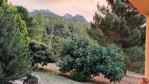 Riopar House | Casa Maite