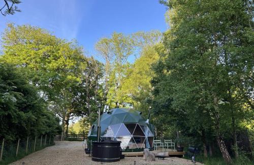 Willesborough Other | Cherry Tree Dome