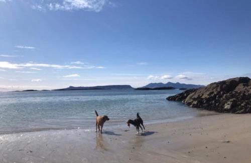 Mallaig House | Cornerstone