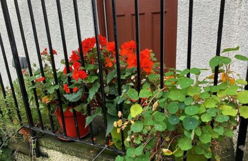 Inveraray Apartment | Cosy cottage flat
