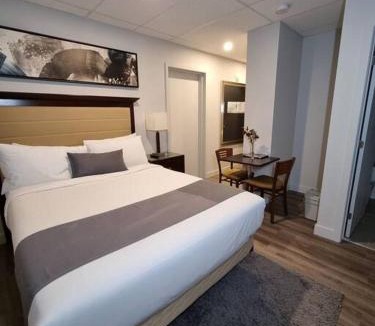Downtown Gatineau Apartment | Cozy Sweet Studio #2. Ten minutes to D.T Ottawa
