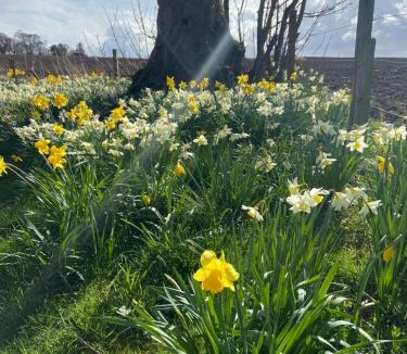 Forres House | Dalvey Mill Cottage