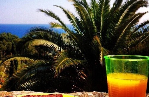 Capdepera Ski Chalet | Dreamy chalet under palm trees, sea view, private pool, near bay
