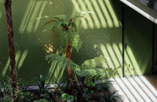 Dunedin City Centre Hotel | Ebb-Dunedin