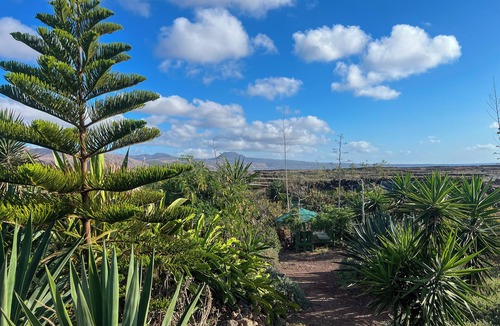 Haria Cabin | Eco-Cabaña Retreat in Lanzarote's unique countryside: Off-Grid Peace & Comfort