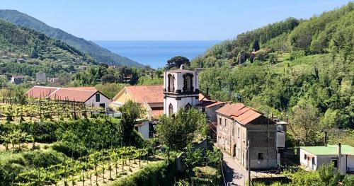 Campinola Bed & Breakfast | Farfalle e Gabbiani