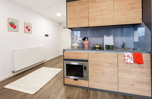 Redbridge Apartment | For Students Only The Valentine in London