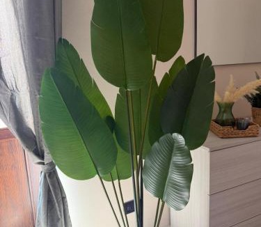 Catanzaro Apartment | Guest House Via Poerio