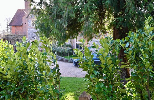 Marlow Cottage | Higginson House