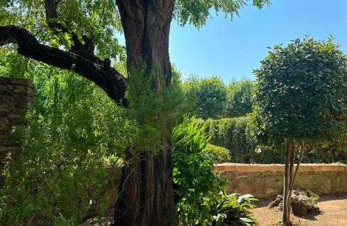 Peratallada House | Hostal La Riera de Peratallada