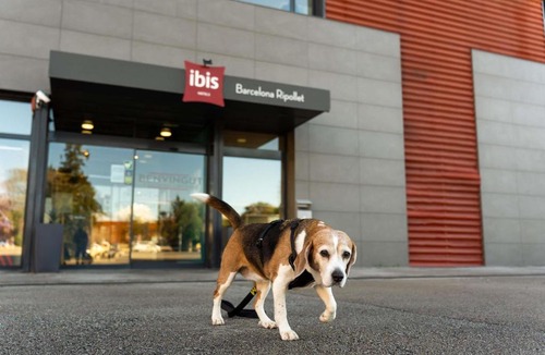 Ripollet Hotel | Ibis Ripollet