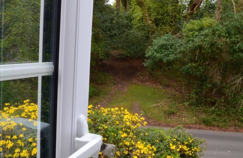 Burley House | Idyllic New Forest Country Cottage