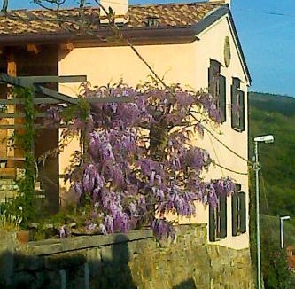 San Dorligo della Valle Bed & Breakfast | Il Glicine