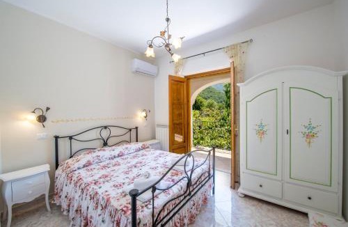 Tramonti Villa | Il Vigneto