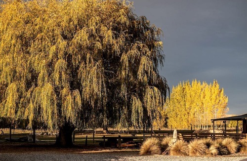 Alexandra House | Impressive Secluded Caravan in Galloway, South Island