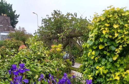 Crieff Cottage | Ivy Cottage - Self-Catering Cottage In Crieff, Perthshire - Weekly Discount!