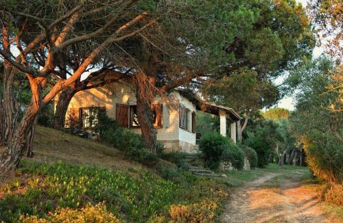 Palafrugell House | La Barraca de Farena