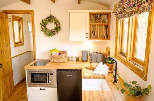 Mauchline Apartment | Lintmill Lodges - Bluebell Shepherds Hut