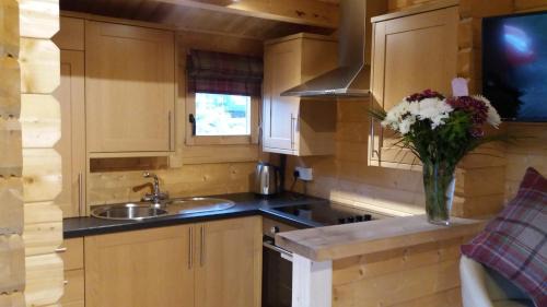 Airdrie House | Lochinvar - Highland Log Cabin with Private Hot Tub