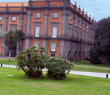 Historical Center House | Maison Claudette Toledo