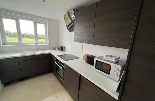 Woolwich Common Apartment | Mid Century Modern Apartment