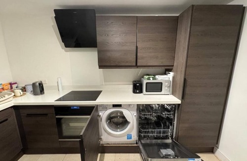 Woolwich Common Apartment | Mid Century Modern Apartment