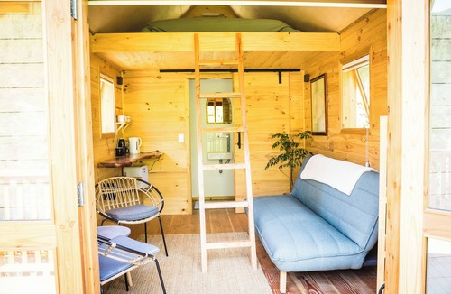 Nelson Region Cabin | Nature based cabins 10mins from Nelson Group friendly 4 cabins & 2 bedroom house