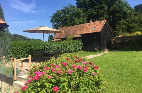 Burley Cottage | New Forest Cottage, village location, perfect for beaches & attractions