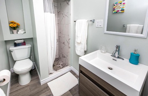 Lowertown Apartment | Newly Renovated - Modern 1BR with King Bed - Byward Market!