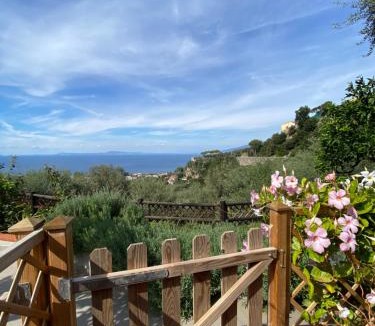 Sorrento House | Olive - Cottage moderno tra gli ulivi di Sorrento