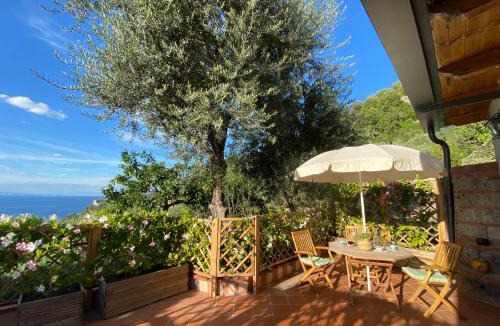 Sorrento House | Orange Cottage Moderno tra gli ulivi di Sorrento