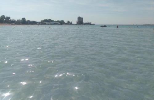Sant'Isidoro House | Orchidea