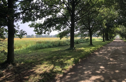 Stowmarket Cottage | Peace and quiet in the heart of the Suffolk countryside.
